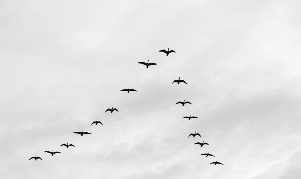 69_GettyImages-1292480750